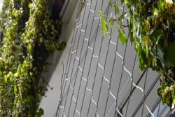 ​Green wall mesh