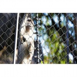 stainless steel wire mesh netting
