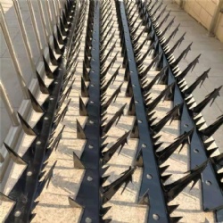 Wall Spikes