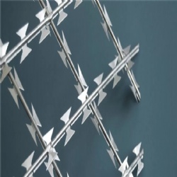 Razor mesh fencing